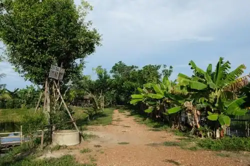 Mai Nam Farm Mai Nam Farm