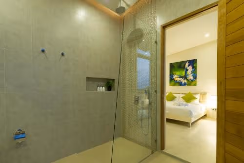 Duplex Apartment