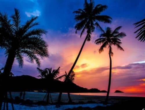 Villa - Beach Front
