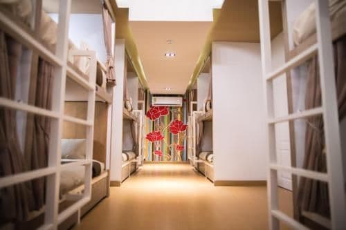 Bunk Bed in Mixed Dormitory Room