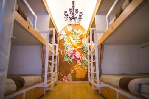 Bunk Bed in Mixed Dormitory Room