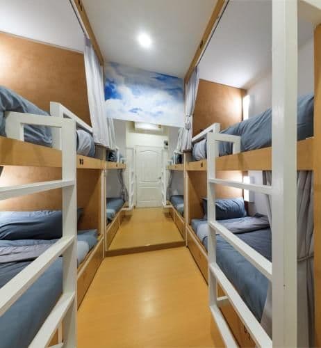 Bunk Bed in Mixed Dormitory Room