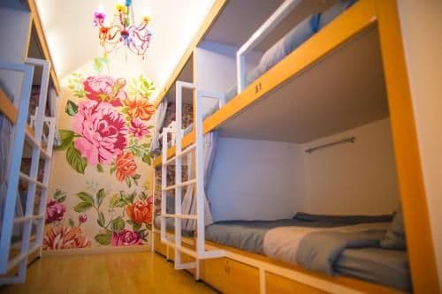 Bunk Bed in Mixed Dormitory Room
