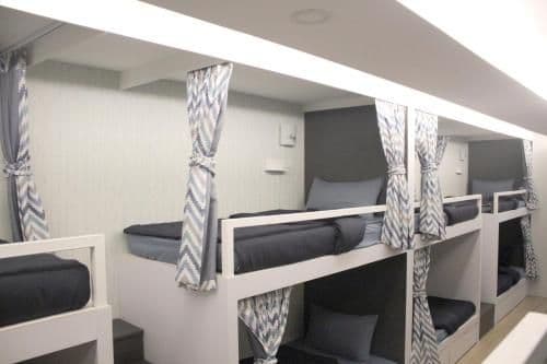 Bunk Bed in Mixed Dormitory Room