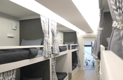 Bunk Bed in Mixed Dormitory Room