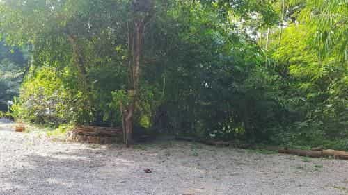 Pugkood Habitat Pugkood Habitat