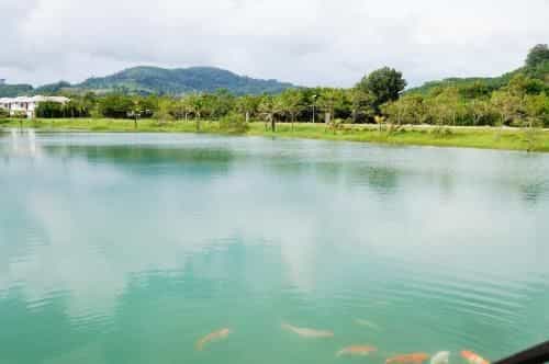 3 bedroom villa in Chalong Miracle Lakeview by Buena Vida 3 bedroom villa in Chalong Miracle Lakeview by Buena Vida
