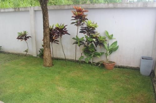 Villa Freedom3