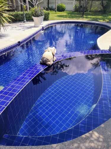 Stunning Guesthouse with pool and peace garden Stunning Guesthouse with pool and peace garden