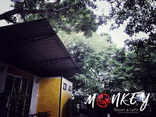 The Monkey Resort Donheang The Monkey Resort Donheang