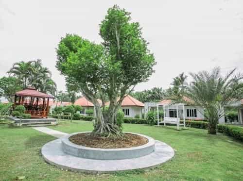 Olivia Resort Pak Phanang Olivia Resort Pak Phanang