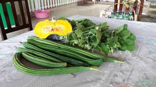 Ban Lung Chu Homestay Ban Lung Chu Homestay