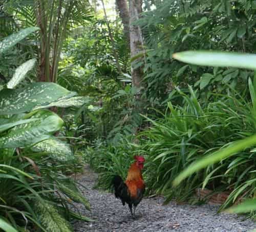 Baan Rai Chay Khao Farm Stay Baan Rai Chay Khao Farm Stay