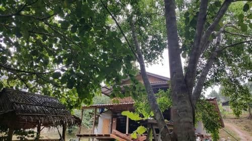 Nakhon Kiriwong Garden Village Homestay Nakhon Kiriwong Garden Village Homestay
