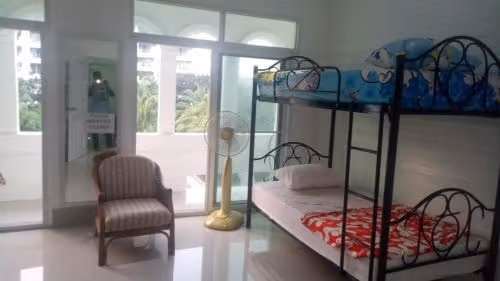 Bunk Bed in Mixed Dormitory Room