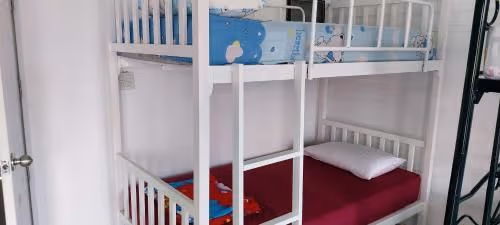 Bunk Bed in Mixed Dormitory Room