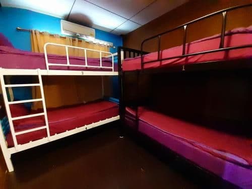 Bunk Bed in Male Dormitory Room