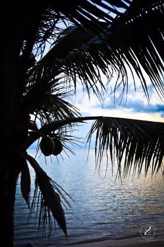 Charu Bay Contemporary Sea Side Bungalow3