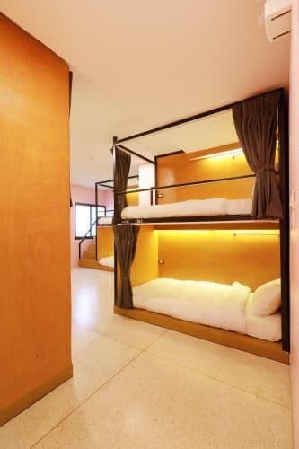 Bunk Bed in Female Dormitory Room