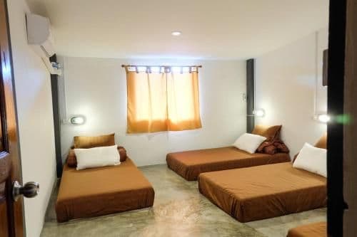 Single Bed in 4-Bed Dormitory Room