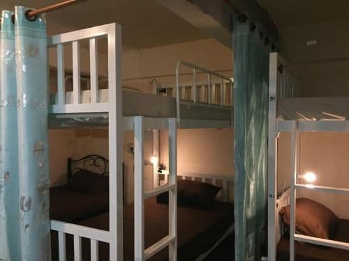 Bunk Bed in Mixed Dormitory Room