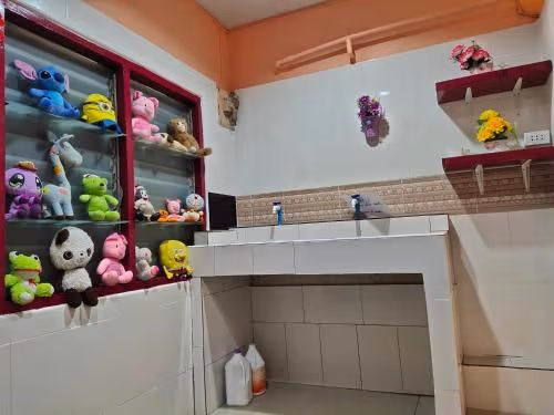 6-Bed Mixed Dormitory Room