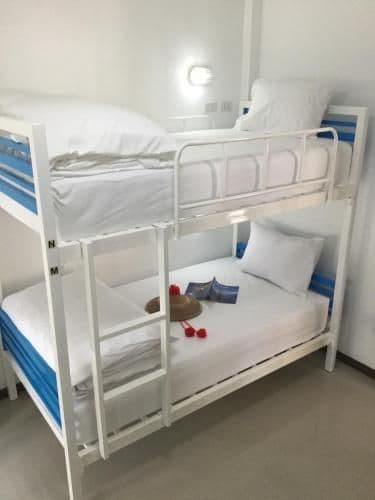 Bunk Bed in Male Dormitory Room