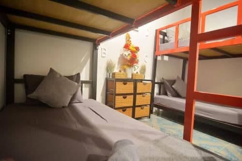 Single Bed in 4-Bed Dormitory Room