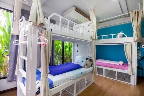 Bunk Bed in Female Dormitory Room