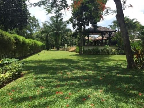 Apartment with Garden View