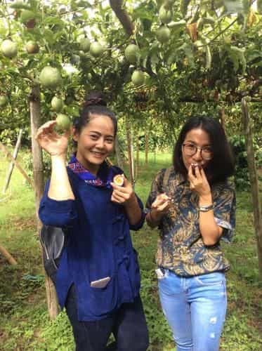 Fhukfang Home Stay Fhukfang Home Stay