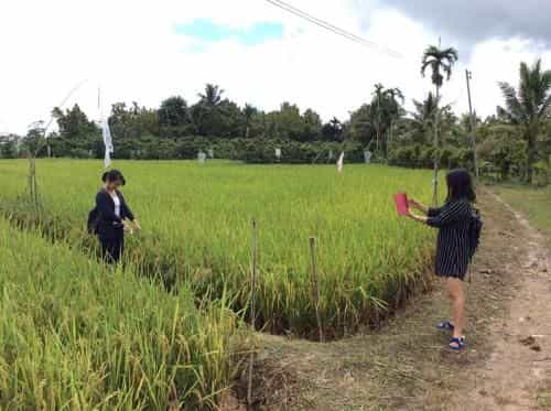 Fhukfang Home Stay Fhukfang Home Stay