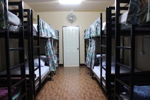 Bunk Bed in Female Dormitory Room