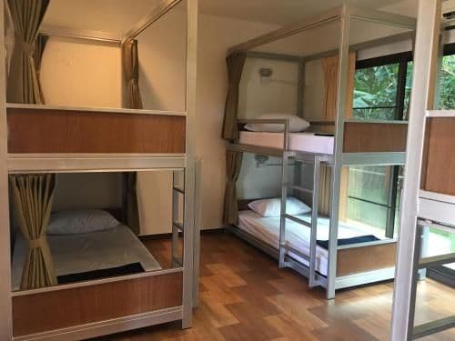 Bunk Bed in Mixed Dormitory Room