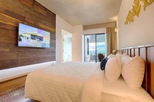 Deluxe Double or Twin Room with River View