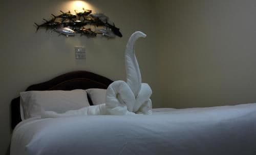 Deluxe Double or Twin Room with Garden View