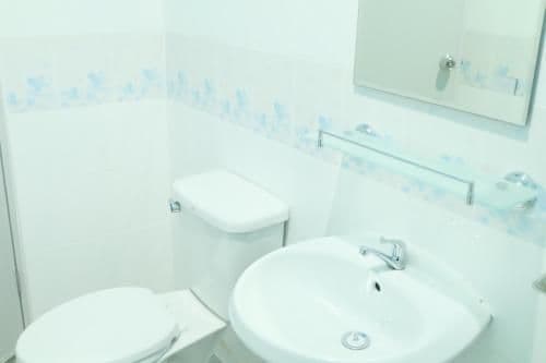 Large Double or Twin Room