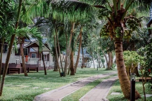 Superior Bungalow