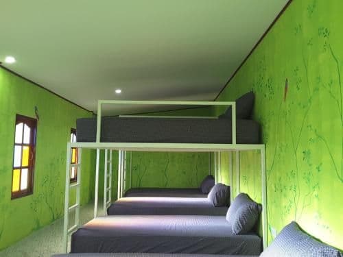 Bed in Mixed Dormitory Room
