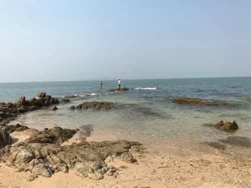 The palm wongamat pattaya The palm wongamat pattaya