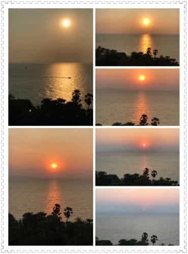 The palm wongamat pattaya The palm wongamat pattaya