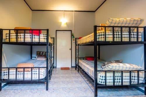 5 Bed Mixed Dormitory with Air Conditioner