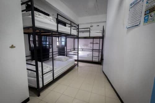 Bed in 4-Bed Mixed Dormitory Room