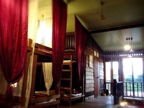 Bunk Bed in Mixed Dormitory Room