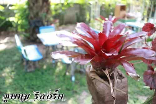ภูพนมรีสอร์ท ภูพนมรีสอร์ท