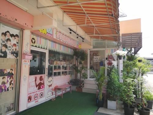 BunnyNap Hostel1