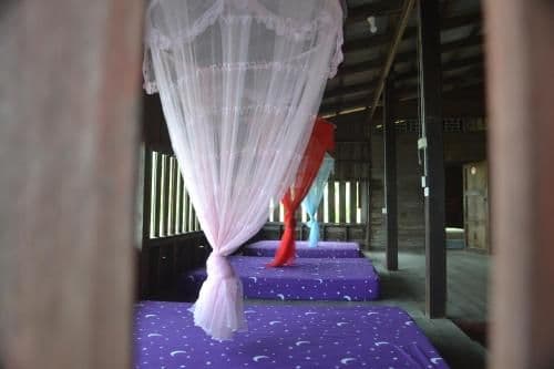 Bed in 10-Bed Mixed Dormitory Room