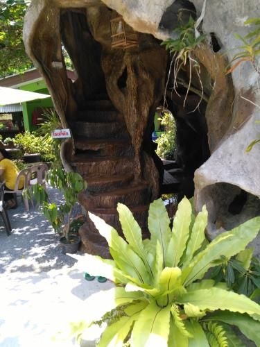 Tara Cave3