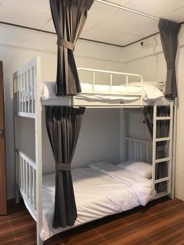 Bunk Bed in Mixed Dormitory Room