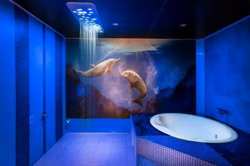 Deluxe Double Room with Shower